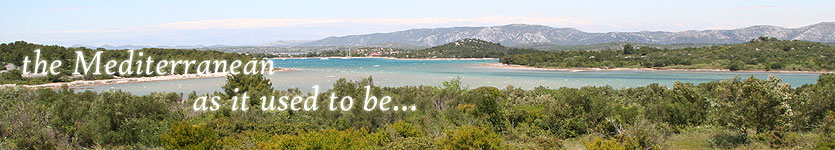 Steinhäuser zu vermieten auf der Insel Murter in Kroatien!